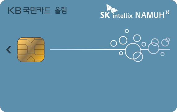 SK인텔릭스 KB국민카드